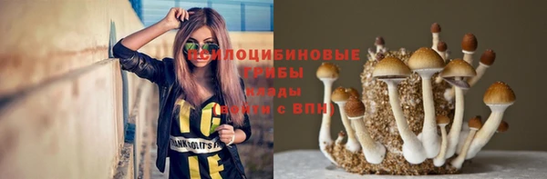 a pvp Алексин