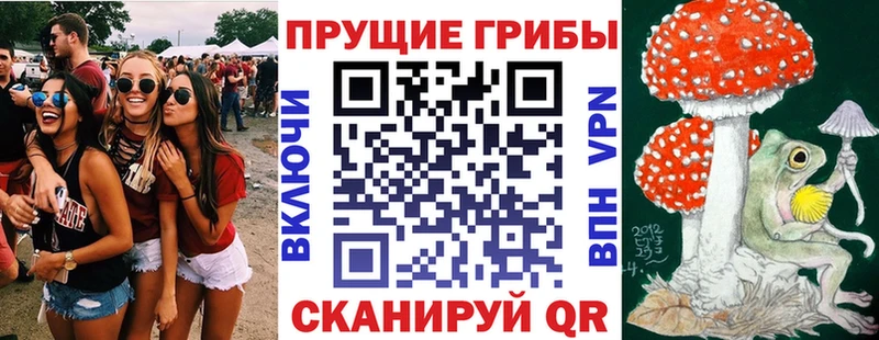Галлюциногенные грибы GOLDEN TEACHER KRAKEN ссылка Хотьково